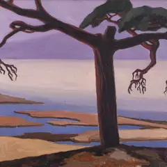 Sigrid Uiga, Kaberneeme mänd, 1979, Õli, lõuend