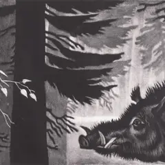 Kaljo Põllu, Eesti maastik A, 1976, Metsotinto
