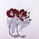 Malle Leis, SBA Botaaniline II, 1988, Serigraafia