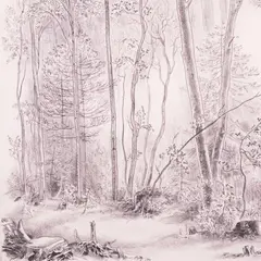 Günther Reindorff, Hommik metsas, 1941, Ofort