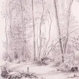 Günther Reindorff, Hommik metsas, 1941, Ofort