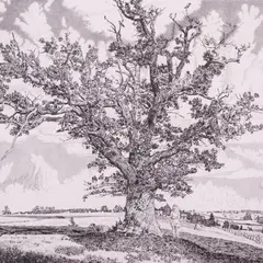 Eduard Wiiralt, Viljandi maastik, 1943, Kuivnõel