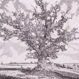 Eduard Wiiralt, Viljandi maastik, 1943, Kuivnõel