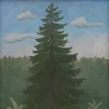 Lembit Sarapuu, Kuusk, 1965, Õli, vineer
