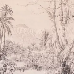 Eduard Wiiralt, Marrakeši maastik (Vaade Atlase mägedele), 1939, Ofort, kuivnõel