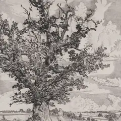 Eduard Wiiralt, Viljandi maastik, 1943, Kuivnõel