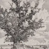 Eduard Wiiralt, Viljandi maastik, 1943, Kuivnõel