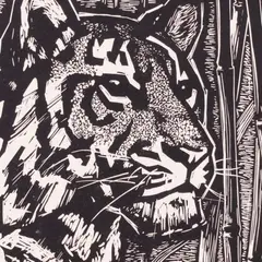 Sándor Stern, Tiiger, 1962, Linoollõige