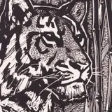 Sándor Stern, Tiiger, 1962, Linoollõige
