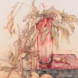 Naima Neidre, Natüürmort merikarpidega, 1982, Akvarell