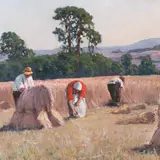 Andrei Jegorov, Viljalõikus