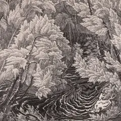 Günther Reindorff, Metsaoja, 1943, Linoolgravüür