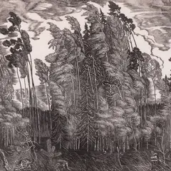 Günther Reindorff, Tuuleiil, 1943, Linoolgravüür
