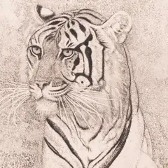 Eduard Wiiralt, Tiiger, 1937, Akvatinta