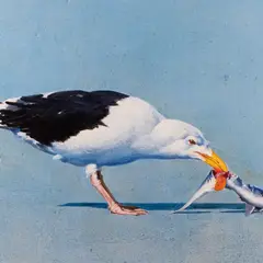 Valeri Vinogradov, Larus marinus, 2021, Õli, lõuend