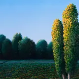 Toomas Vint, Park ja lambid, 1992, Õli, lõuend