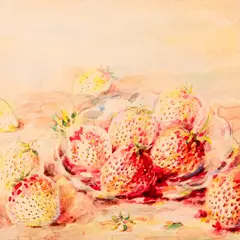 Hilda Kamdron, Maasikad, 1957, Akvarell (dubleeritud papile)