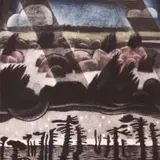 Kaljo Põllu, Eestimaa, 1995, Värviline metsotinto