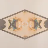 Aili Vint, Variatsioonid XI A, 1987, Söövitus