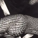 Jüri Palm, Joonistus II, 1977, Tušš, paber (kleebitud papile)