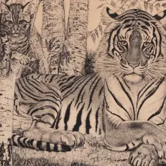 Eduard Wiiralt, Tiiger kassiga, 1937 - 1950, Pehmelakk, kuivnõel