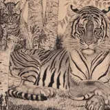 Eduard Wiiralt, Tiiger kassiga, 1937 - 1950, Pehmelakk, kuivnõel