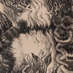 Silvi Väljal, Soovõhk, 1976, Litograafia