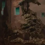 Valdur Ohakas, Seinad