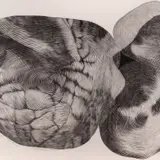 Peeter Allik, Ühe joonega I, 15/20, 1993, Linoollõige