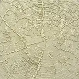 Siim-Tanel Annus, Ilmapuu I/World Tree I, 2016, akrüül, liiv, lõuend vineeril