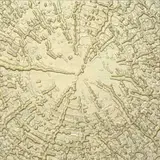 Siim-Tanel Annus, Ilmapuu II/World Tree II, 2016, akrüül, liiv, lõuend vineeril