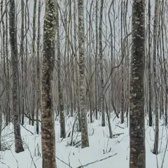 Eesti mets. Jaanuar/Estonian Forest. January by Jane Remm, 2016, õli, lõuend, sold Sep 2016