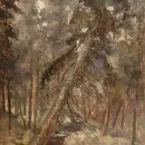 Aleksander Vardi, Maastik viltuse kuusega, 1940 - 1950, õli, papp