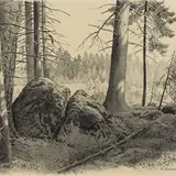 Günther Reindorff, Metsaalune