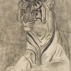 Eduard Wiiralt, Tiiger, 1937, akvatinta