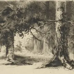 Ott Kangilaski, Mets, 1954, kuivnõel