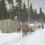 Andrei Jegorov, Palgivedu