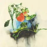 Malle Leis, Vilivere IX