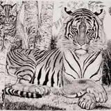 Eduard Wiiralt, Tiiger kassiga, 1937, Pehmelakk, kuivnõel