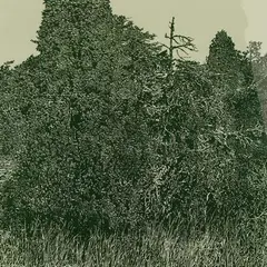 Illimar Paul, Saaremaa II (Nõmpa), 1982, Serigraafia