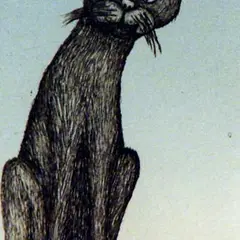 Tarmo Roosimölder, Kass, 2005, Kuivnõel