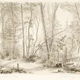Günther Reindorff, Hommik metsas, 1941, Ofort