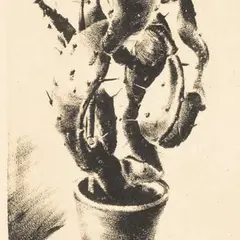 Kaktus by Salome Trei, 1939, Lito, sold Oct 2006