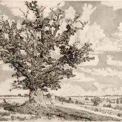 Eduard Wiiralt, Viljandi maastik, 1943, Kuivnõel
