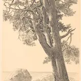 Günther Reindorff, Rannamänd