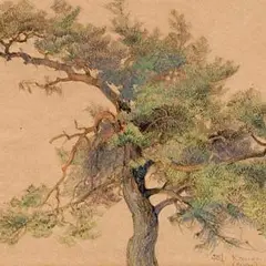 Roman Nyman, Mänd, 1930, Pliiats, värviline pliiats