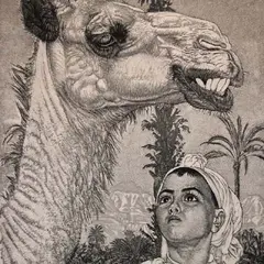 Eduard Wiiralt, Berberi tüdruk kaameliga, 1940, Pehmelakk