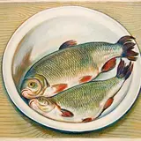 Raoul Kernumees, Säinad kausis, 1974, lito, õlipastell