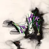 Malle Leis, Krookused