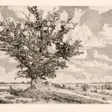 Eduard Wiiralt, Viljandi maastik, 1943, Kuivnõel